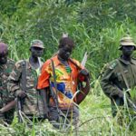 Les éléments de la LRA en Centrafrique