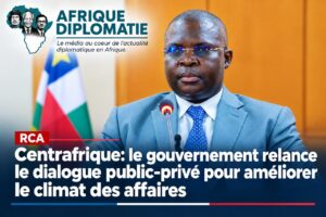 Evariste Ngamana, Ministre d'Etat chargé de la communication et des médias, Porte-parole du gouvernement centrafricain